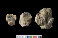 藏品(集塊岩)的圖片